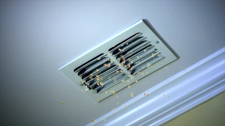 Best HVAC Duct Inspection Services  in Lemay, MO