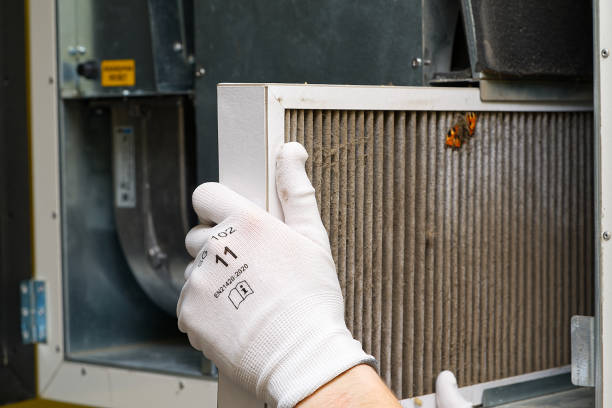 Best Emergency Air Duct Cleaning  in Lemay, MO