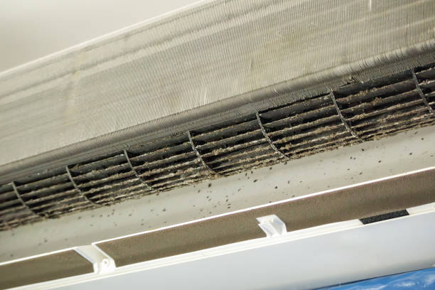 Best Air Duct Mold Removal  in Lemay, MO
