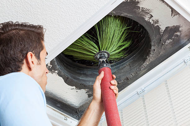 Best Emergency Air Duct Cleaning  in Lemay, MO