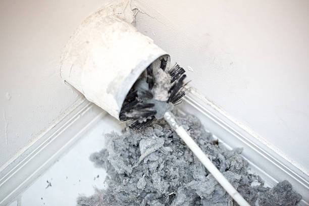 Best HVAC Air Duct Cleaning  in Lemay, MO