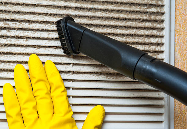 Best Ventilation Cleaning Services  in Lemay, MO